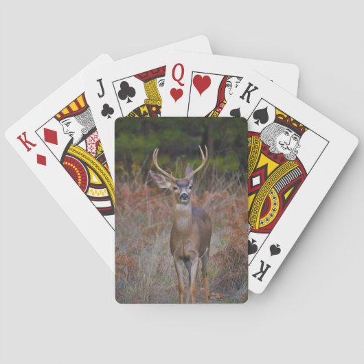 BUCK POKERKAARTEN (Achterkant)