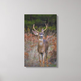 Buck stopt hier! canvas afdruk