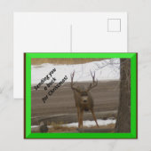 Buck voor kerstBriefkaart Briefkaart (Voorkant / Achterkant)