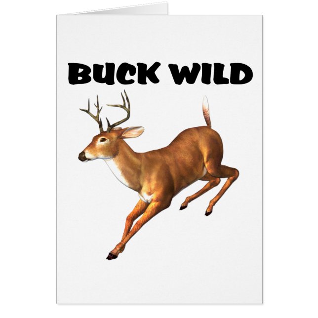 Buck Wild (Voorkant)
