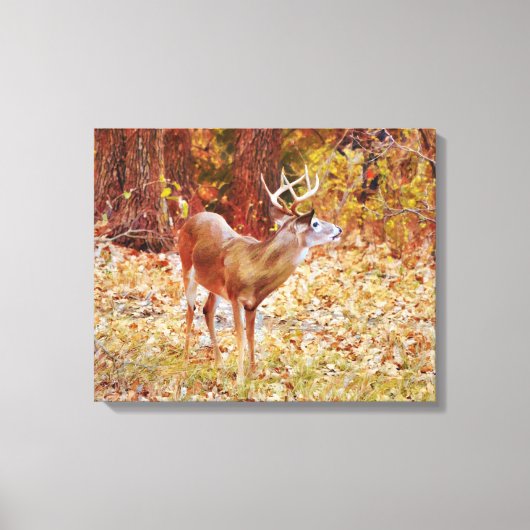 Buck Wild Deer in Bossen Canvas Art Print (Voorkant)
