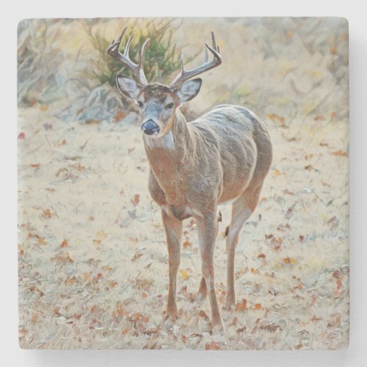 Buck Wild Deer Texas Stone Onderzetter (Voorkant)
