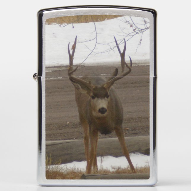 Buck Zippo Lighter (Voorkant)