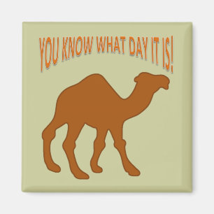 BUCKELDAG ! KAMEELBUCKELDAG JE WEET WEL WAT VOOR D MAGNEET