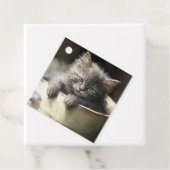 Bucket vol met Joy Sweet Grey Kitten Bedankjes Labels (In situ)