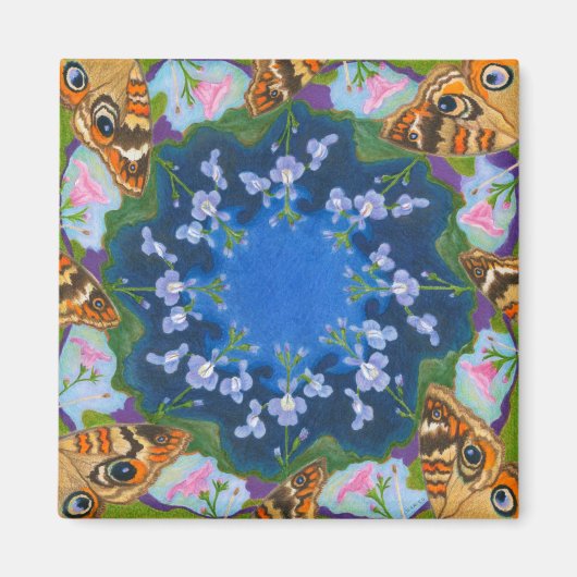 Buckeybutterfly-koeler Magnet Magneet (Voorkant)