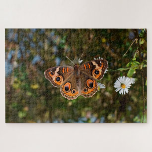 Buckeye Butterfly. Legpuzzel