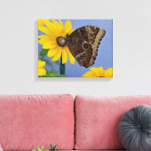 Buckeye Butterfly op Yellow Daisy Canvas Afdruk (Insitu (Woonkamer))