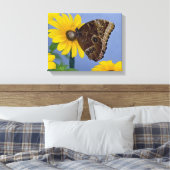 Buckeye Butterfly op Yellow Daisy Canvas Afdruk (Insitu (Slaapkamer))