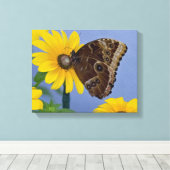 Buckeye Butterfly op Yellow Daisy Canvas Afdruk (Insitu (Houten vloer))