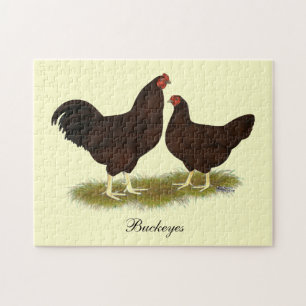 Buckeye Chickens Legpuzzel