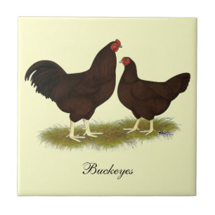 Buckeye Chickens Tegeltje
