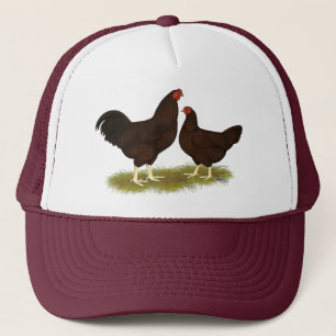 Buckeye Chickens Trucker Pet