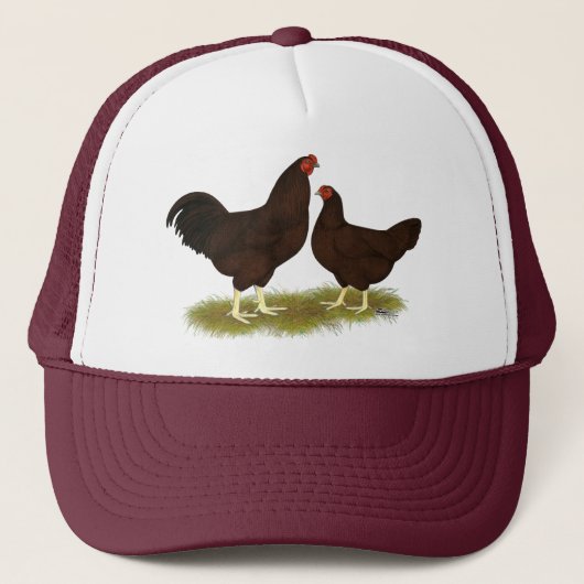Buckeye Chickens Trucker Pet (Voorkant)