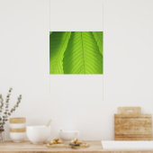 Buckeye Leaves Poster (Keuken)