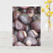 Buckeye Nuts Macro Foto Kaart (Gele Bloem)