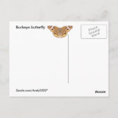 Buckeyvlinder ~ briefkaart (Achterkant)