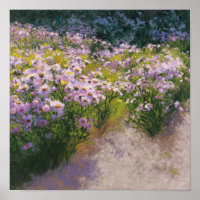 Buckhorn Aster Show