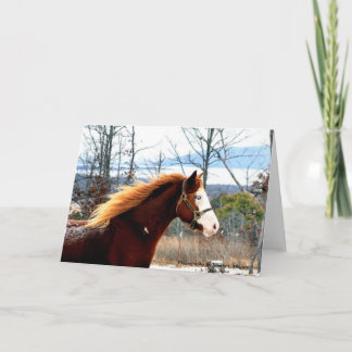 Buckie op Berg Rogers Kaart