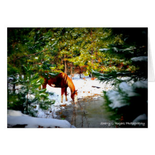 ~Buckie sur le passe-temps Farm~ de Rogers
