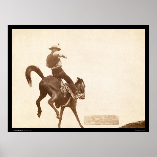 Bucking Bronco SD 1888 Poster (Voorkant)