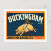 Buckingham Bartlett Apples -  krateletiket Briefkaart (Voorkant)