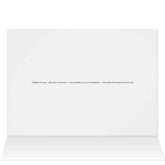 Buckingham Palace (Intérieur Horizontal (Haut))