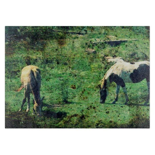 Buckskin and Pinto Grunge Snijplank (Voorkant)