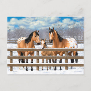 Buckskin Appaloosa paarden bij sneeuw Briefkaart