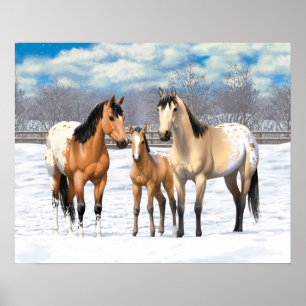 Buckskin Appaloosa paarden bij sneeuw Poster
