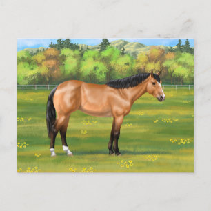 Buckskin Dun Quarter Horse Briefkaart