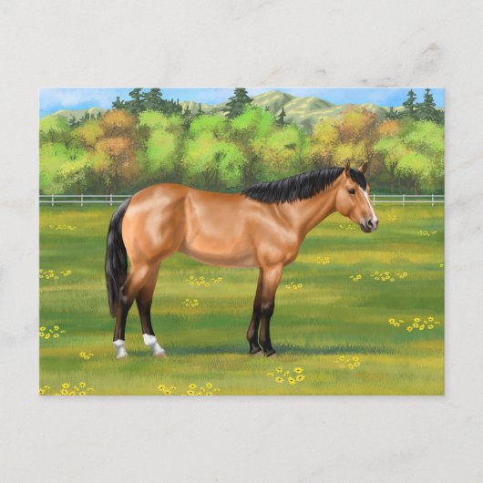 Buckskin Dun Quarter Horse Briefkaart (Voorkant)