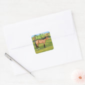 Buckskin Dun Quarter Horse Vierkante Sticker (Envelop)