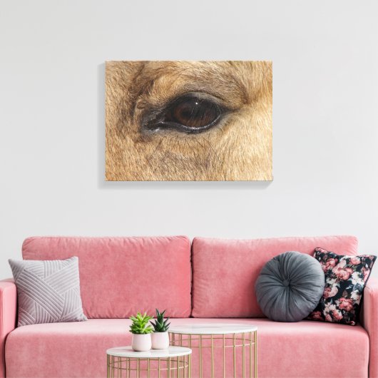 Buckskin Eye Canvas Afdruk (Insitu (Woonkamer))