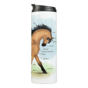 Buckskin Horse Educational Equine Anatomy Thermosbeker
