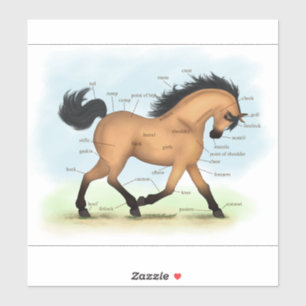 Buckskin Horse Pony Paardensport Anatomie Grafiek Sticker