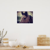 Buckskin Horse Poster (Keuken)
