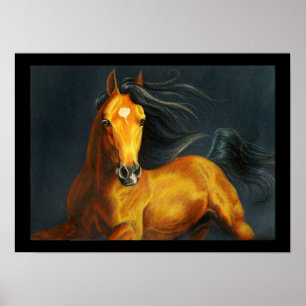 Buckskin Horse Poster