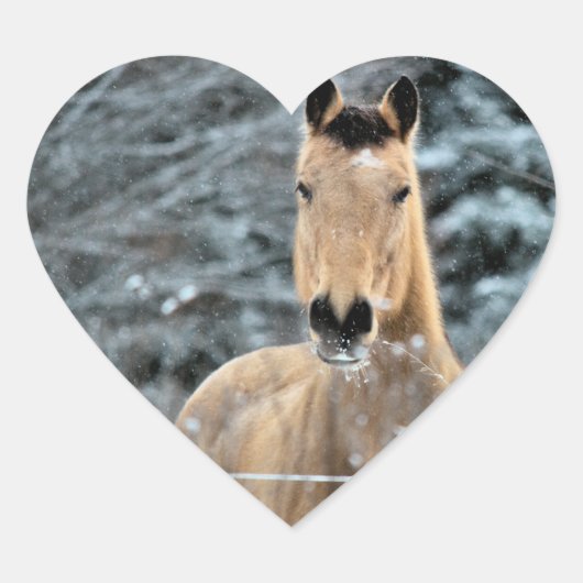 Buckskin Horse Winter Hart Sticker (Voorkant)