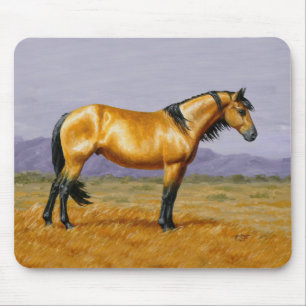 Buckskin Mustang Wilde Paard Hengst Muismat