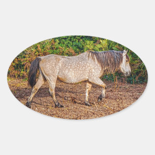 Buckskin New Forest Pony Wildlife Ovale Sticker