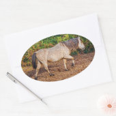 Buckskin New Forest Pony Wildlife Ovale Sticker (Envelop)
