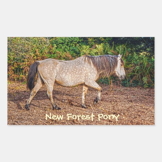 Buckskin New Forest Pony Wildlife Rechthoekige Sticker (Voorkant)