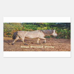 Buckskin New Forest Pony Wildlife Rechthoekige Sticker