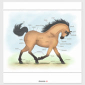 Buckskin Paard Educatieve Equine Anatomie Grafiek Sticker (Vel)