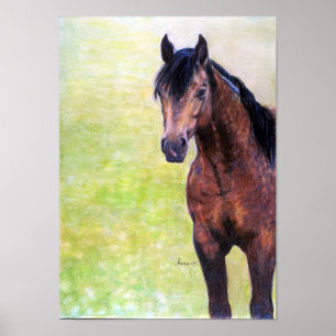 Buckskin Quarter Horse Halter Horse Portret Poster