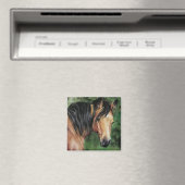 Buckskin Quarter Horse mare Magneet (Insitu (Vaatwasser))