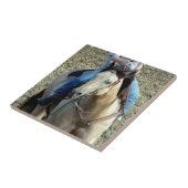 Buckskin Rodeo Horse Tegeltje (Zijkant)