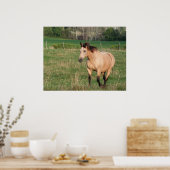 Buckskin Stroll Poster (Keuken)