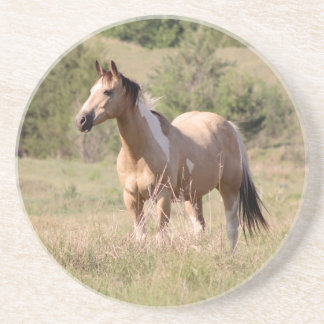 Buckskin Tobiano Horse Posing in Pasture Photo Zandsteen Onderzetter
